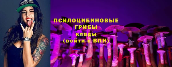 спайс Надым