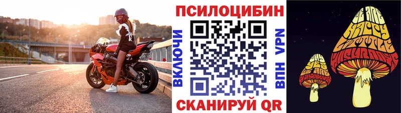Псилоцибиновые грибы MAGIC MUSHROOMS  где продают   Первомайск 
