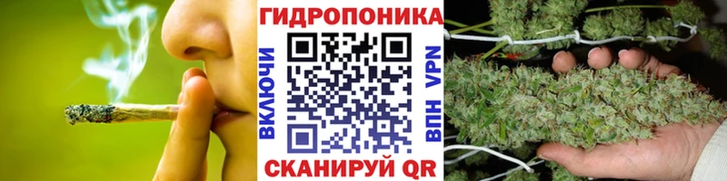 гидра маркетплейс  Первомайск  Канабис OG Kush 